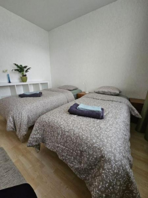 Satakieli - 2 bedroom apartment incl free parking and wifi max 5 person
